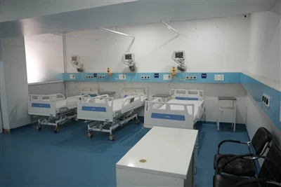 מערכת אקולוגית תעשייתית, אבולוציה סטנדרטית ונוף שוק עתידי